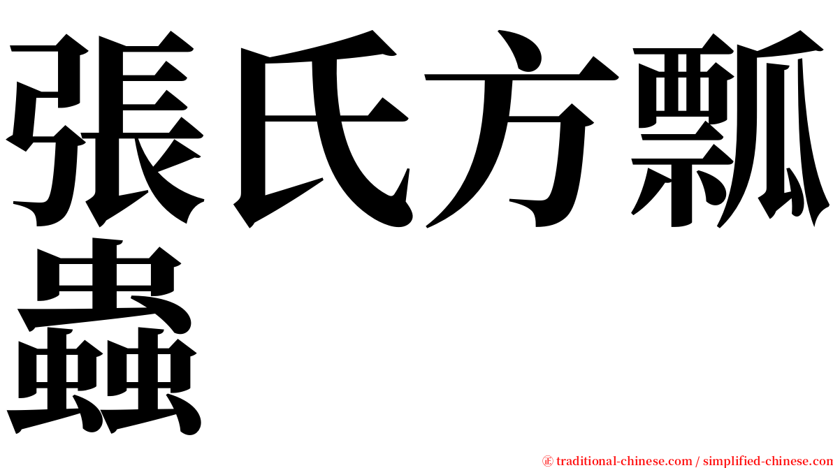 張氏方瓢蟲 serif font