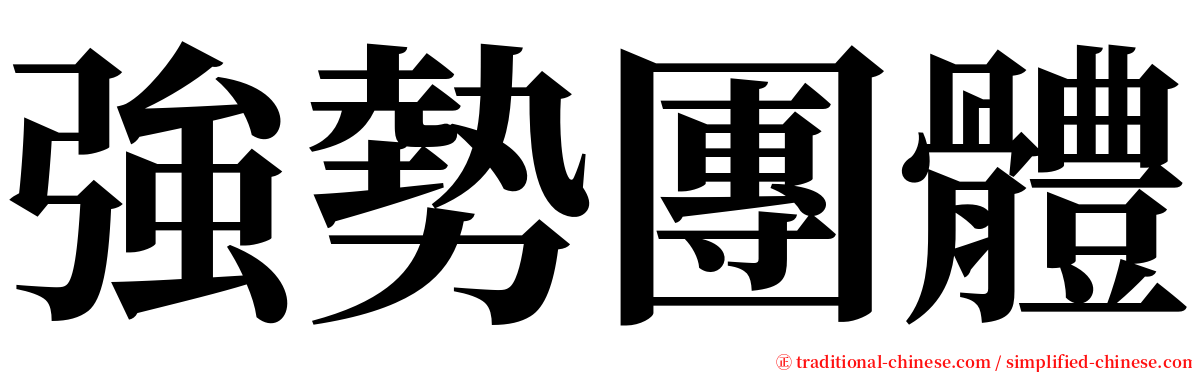 強勢團體 serif font