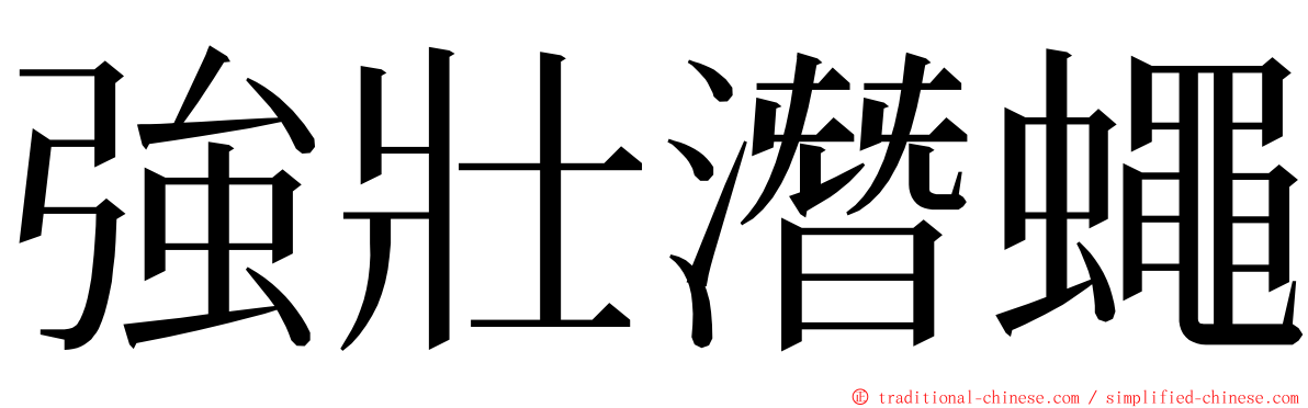 強壯潛蠅 ming font