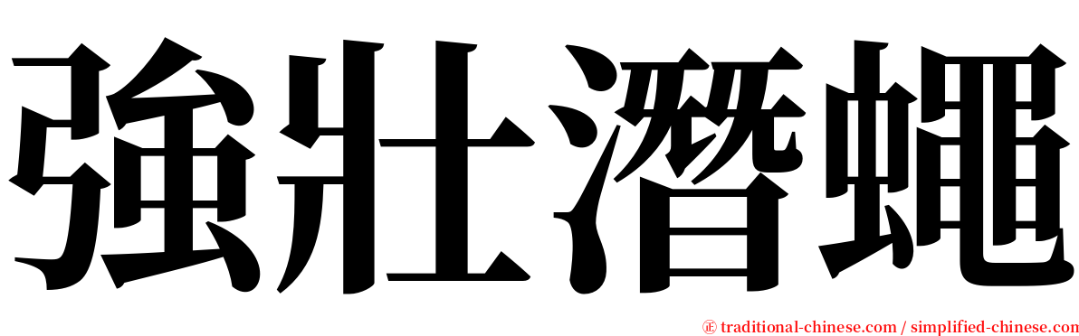 強壯潛蠅 serif font