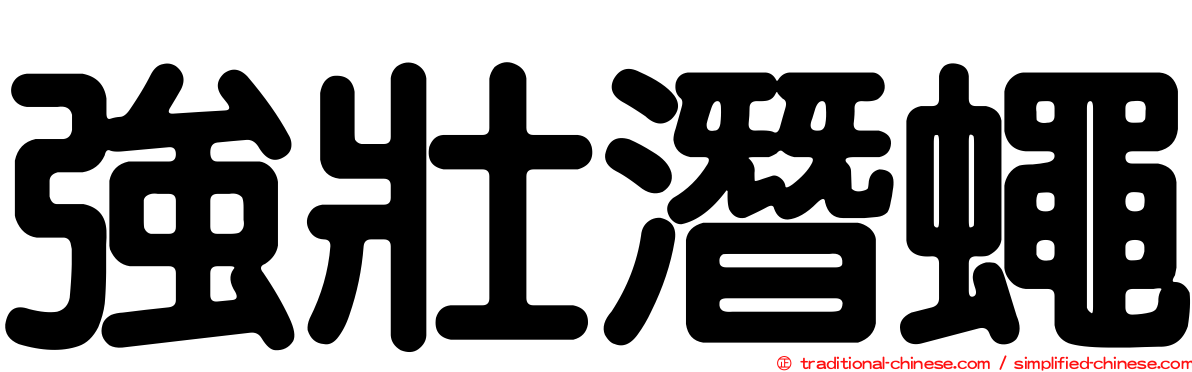 強壯潛蠅