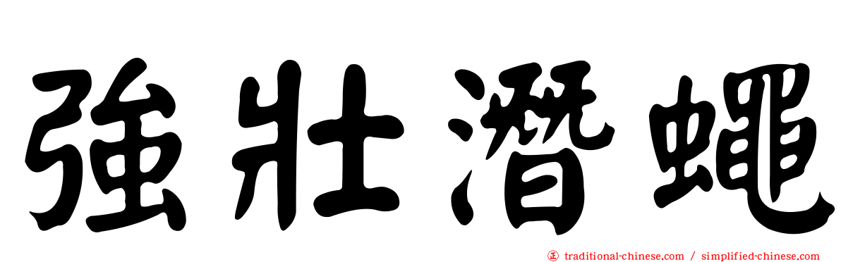 強壯潛蠅