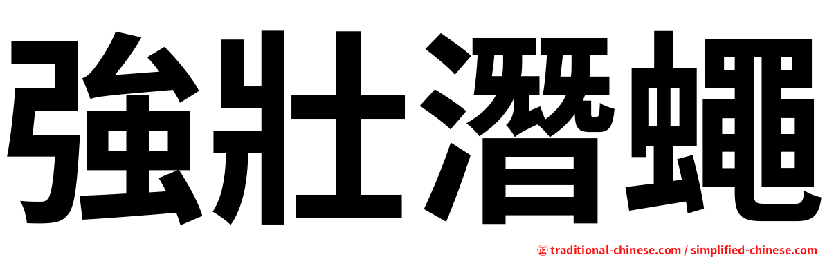 強壯潛蠅