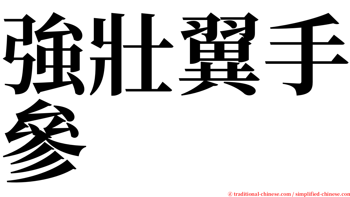 強壯翼手參 serif font