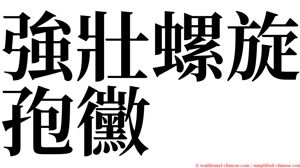 強壯螺旋孢黴 serif font