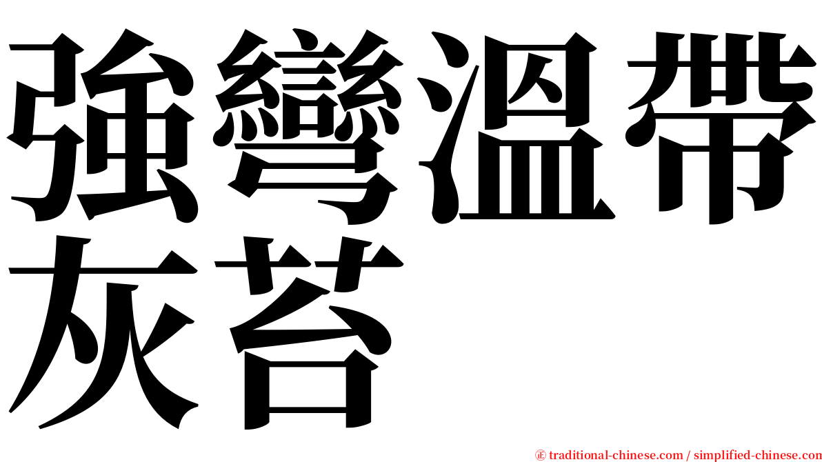 強彎溫帶灰苔 serif font