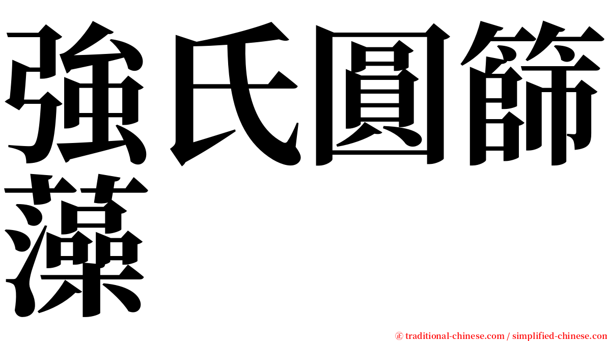 強氏圓篩藻 serif font