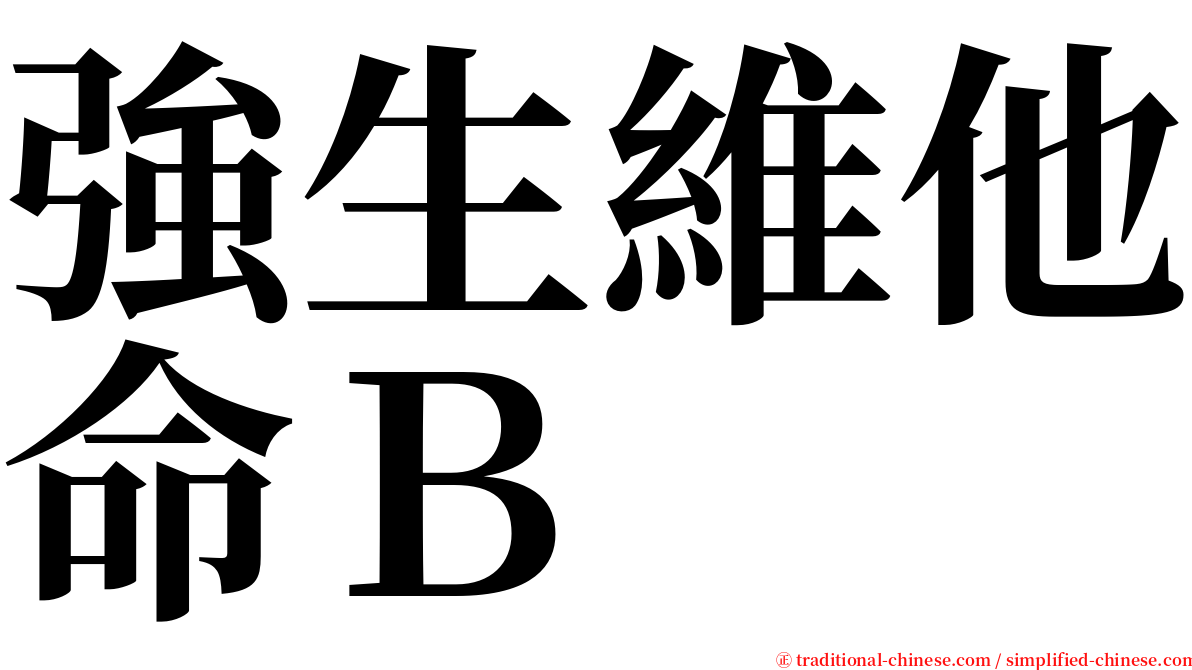 強生維他命Ｂ serif font