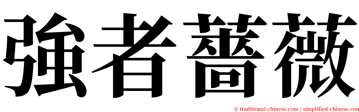 強者薔薇 serif font