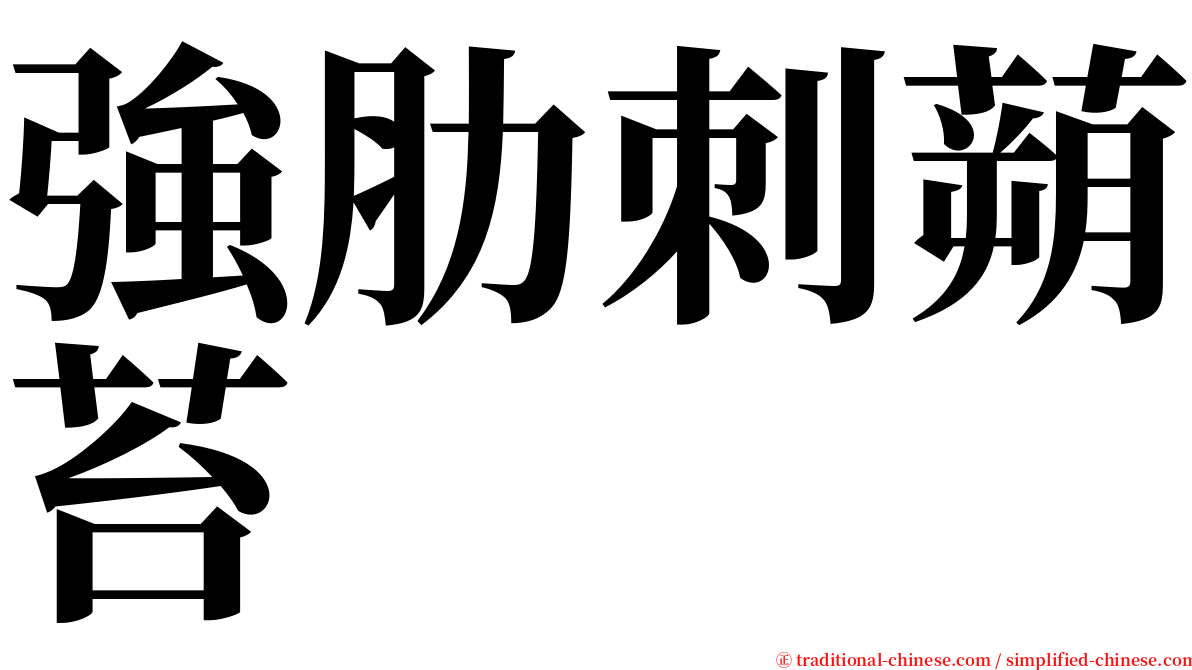 強肋刺蒴苔 serif font