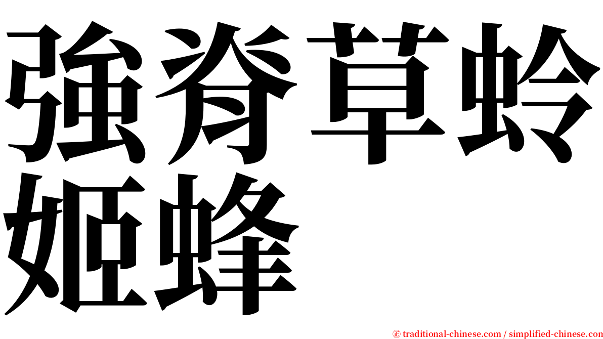 強脊草蛉姬蜂 serif font