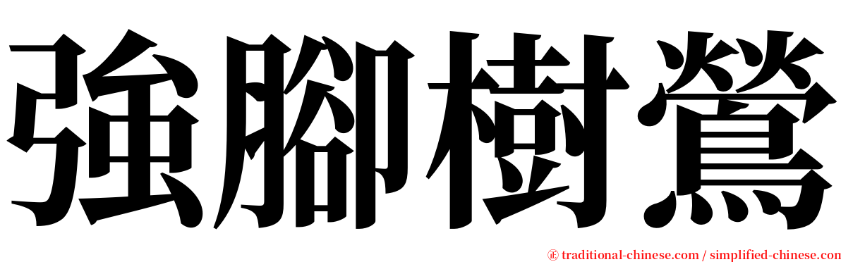 強腳樹鶯 serif font