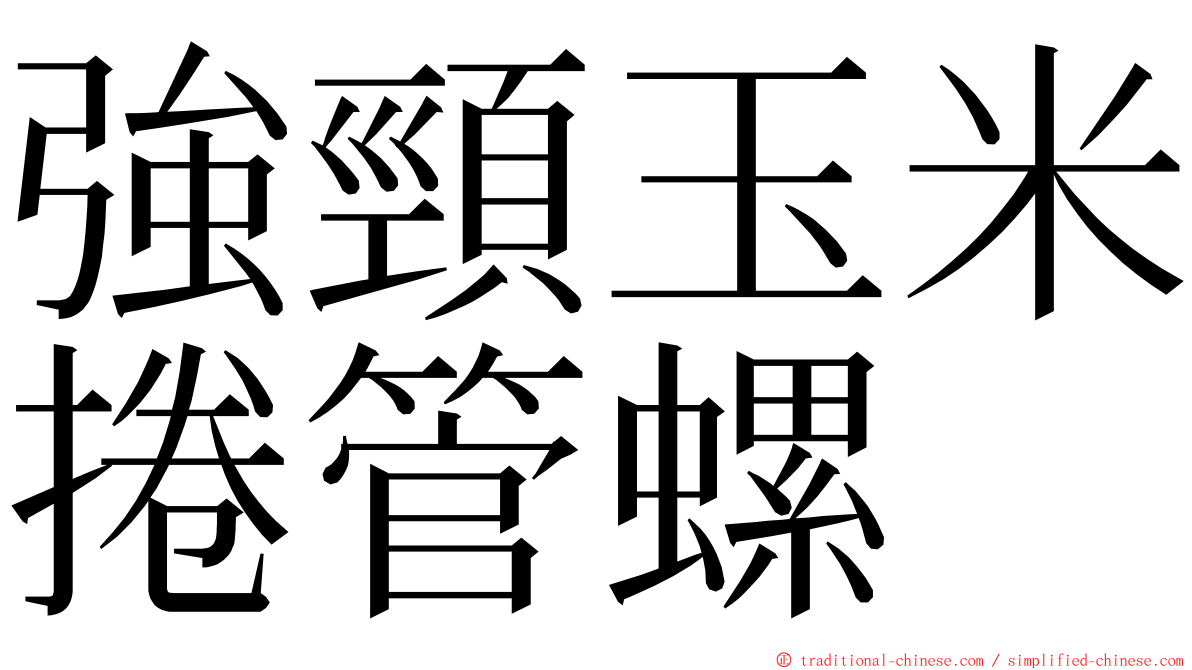 強頸玉米捲管螺 ming font