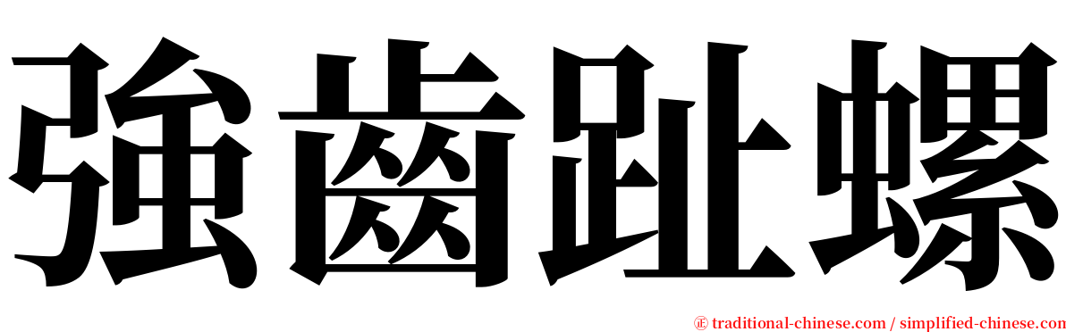 強齒趾螺 serif font