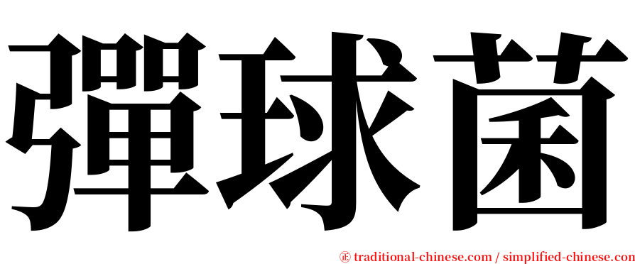 彈球菌 serif font