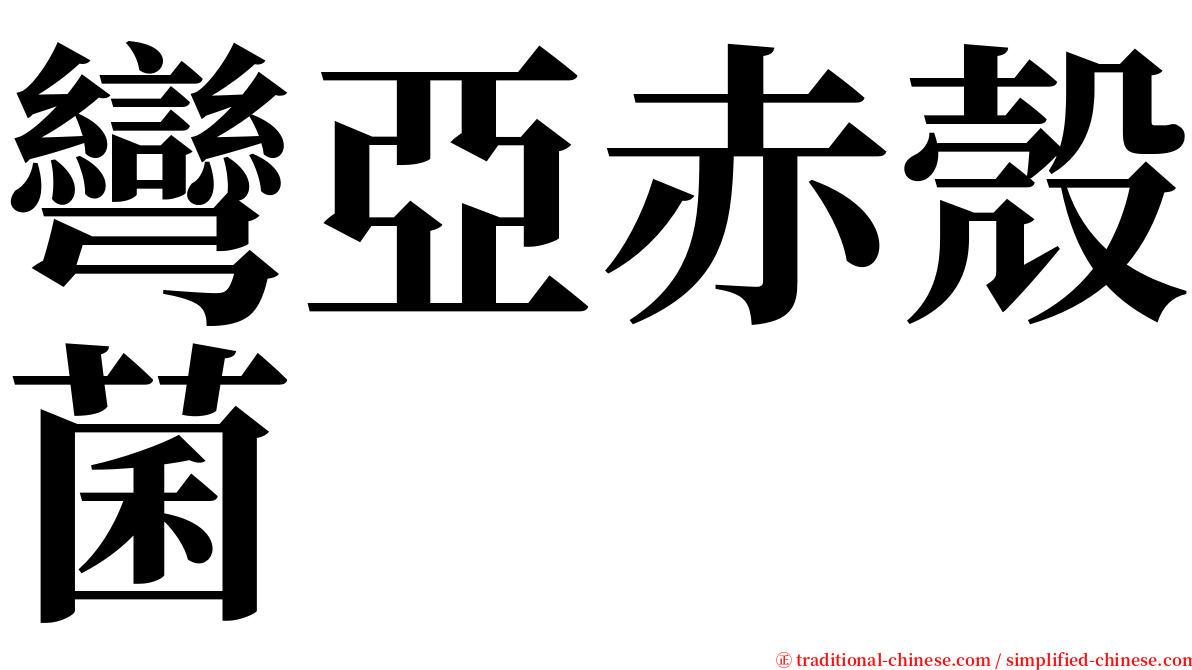 彎亞赤殼菌 serif font