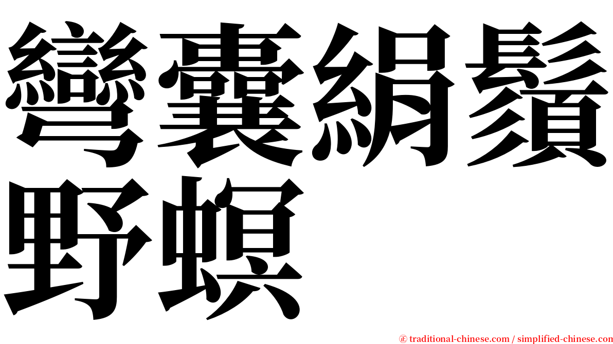 彎囊絹鬚野螟 serif font