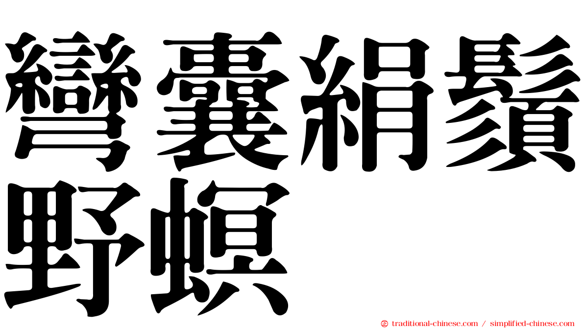 彎囊絹鬚野螟