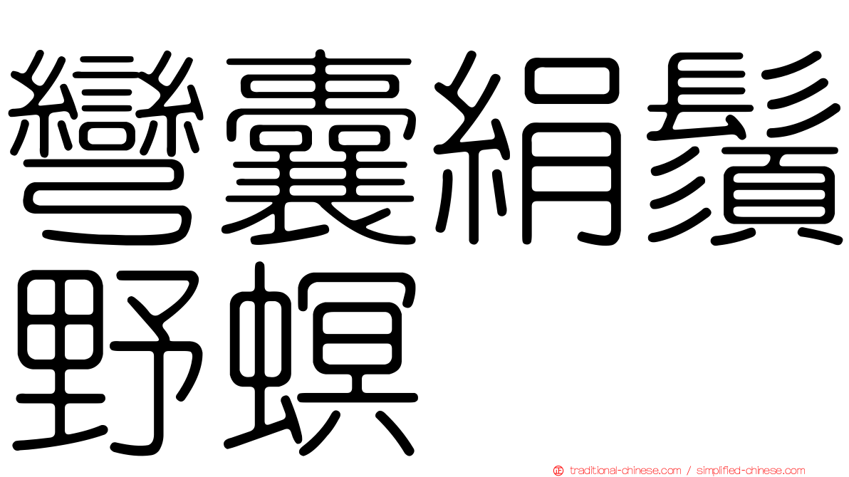 彎囊絹鬚野螟