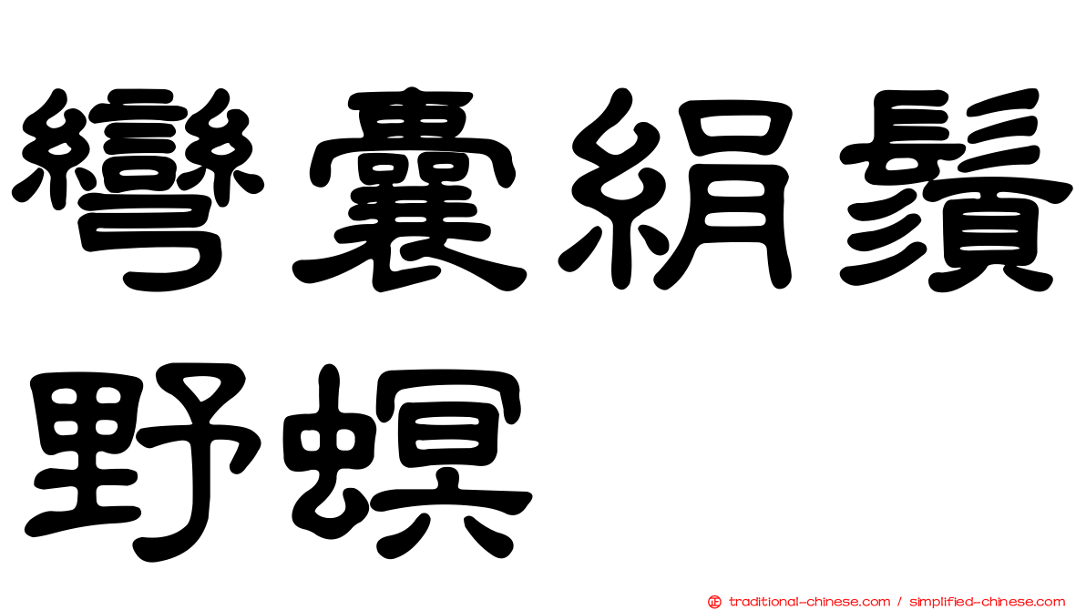 彎囊絹鬚野螟