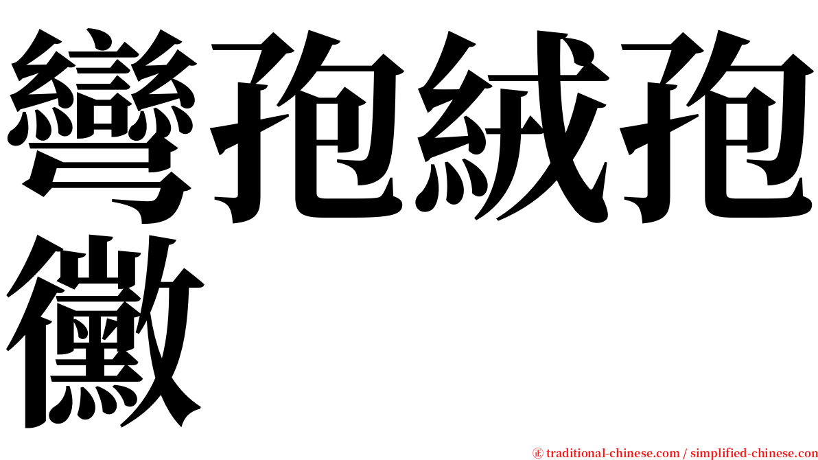 彎孢絨孢黴 serif font