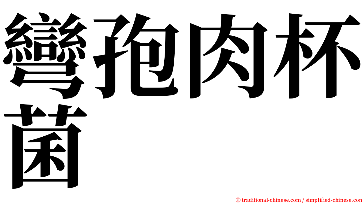 彎孢肉杯菌 serif font