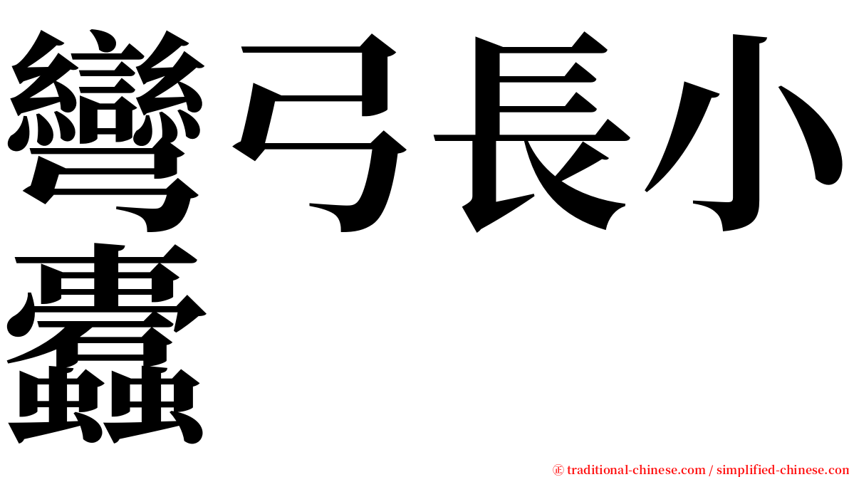 彎弓長小蠹 serif font