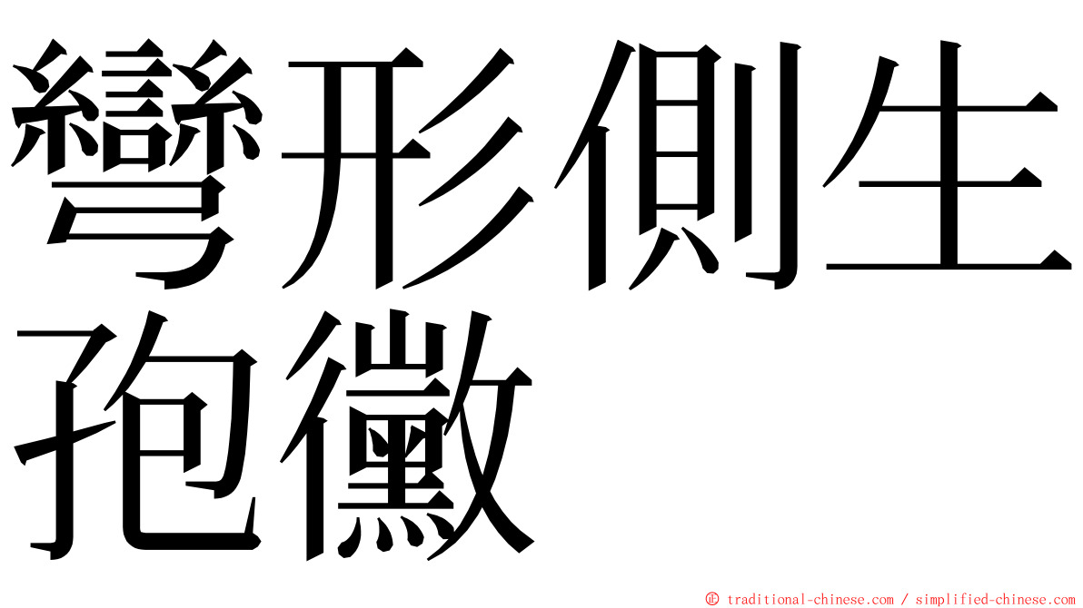 彎形側生孢黴 ming font