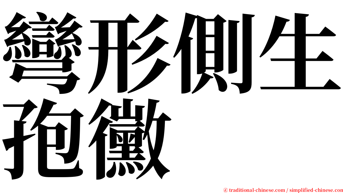 彎形側生孢黴 serif font