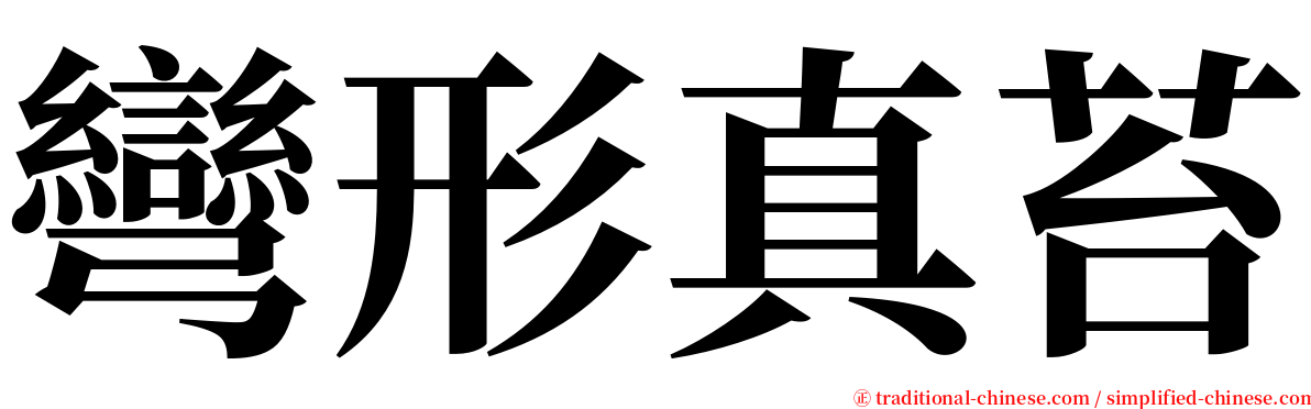 彎形真苔 serif font