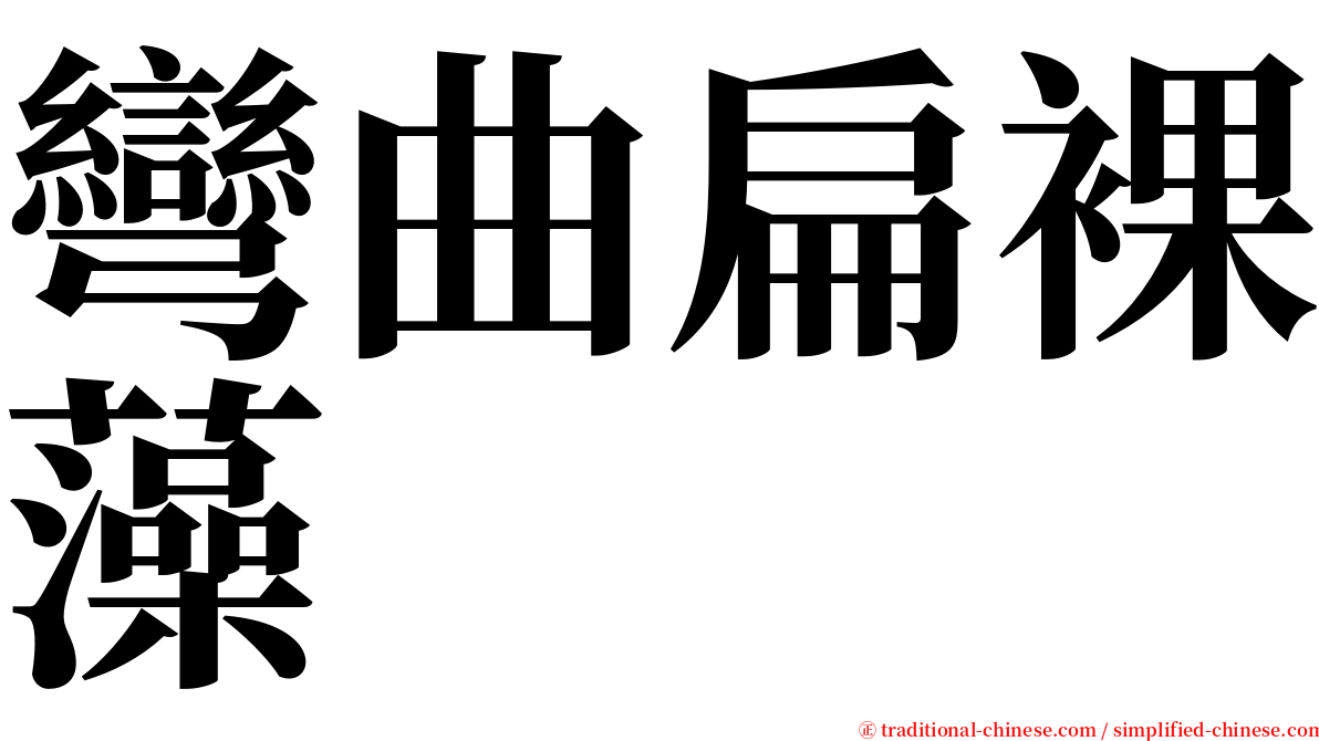 彎曲扁裸藻 serif font