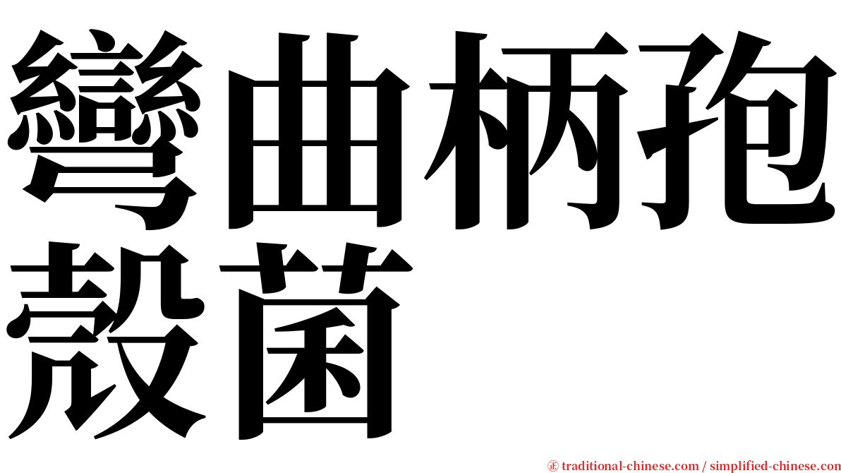 彎曲柄孢殼菌 serif font