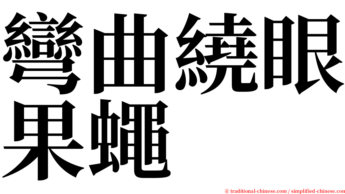 彎曲繞眼果蠅 serif font