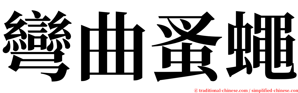 彎曲蚤蠅 serif font