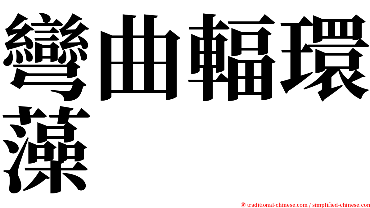 彎曲輻環藻 serif font