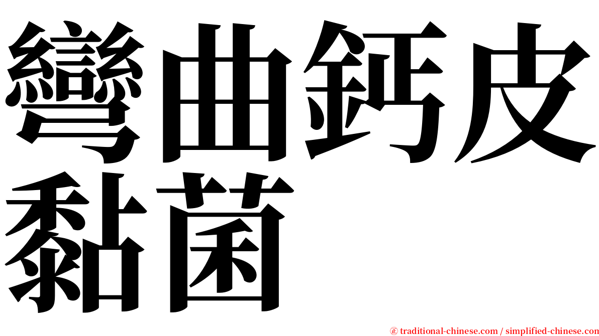 彎曲鈣皮黏菌 serif font