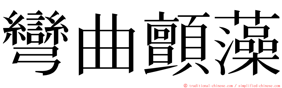 彎曲顫藻 ming font