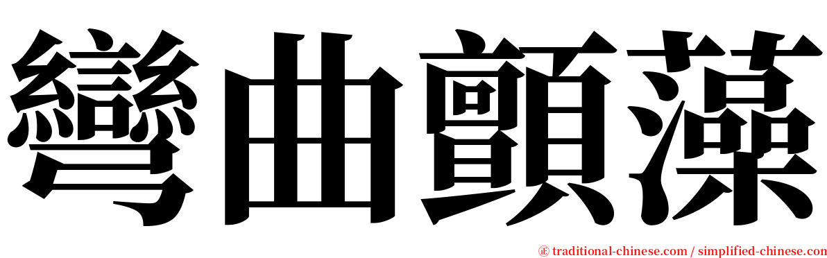 彎曲顫藻 serif font