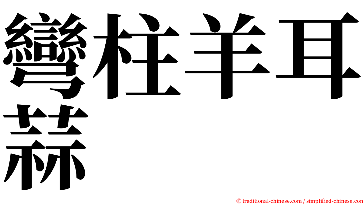 彎柱羊耳蒜 serif font