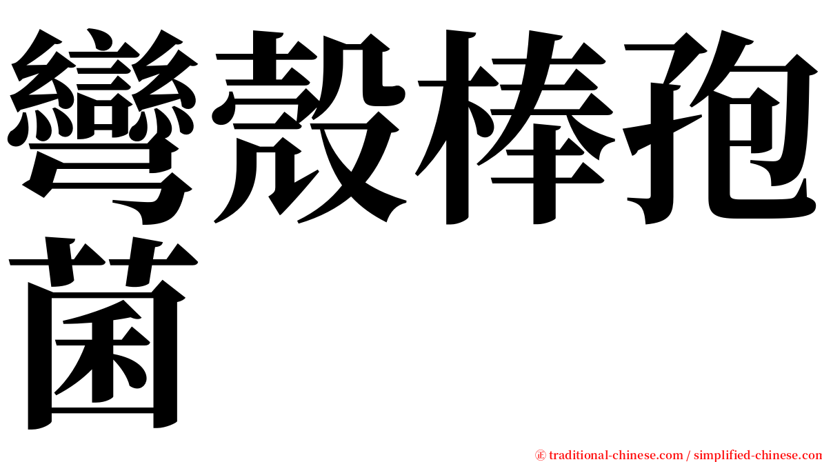 彎殼棒孢菌 serif font