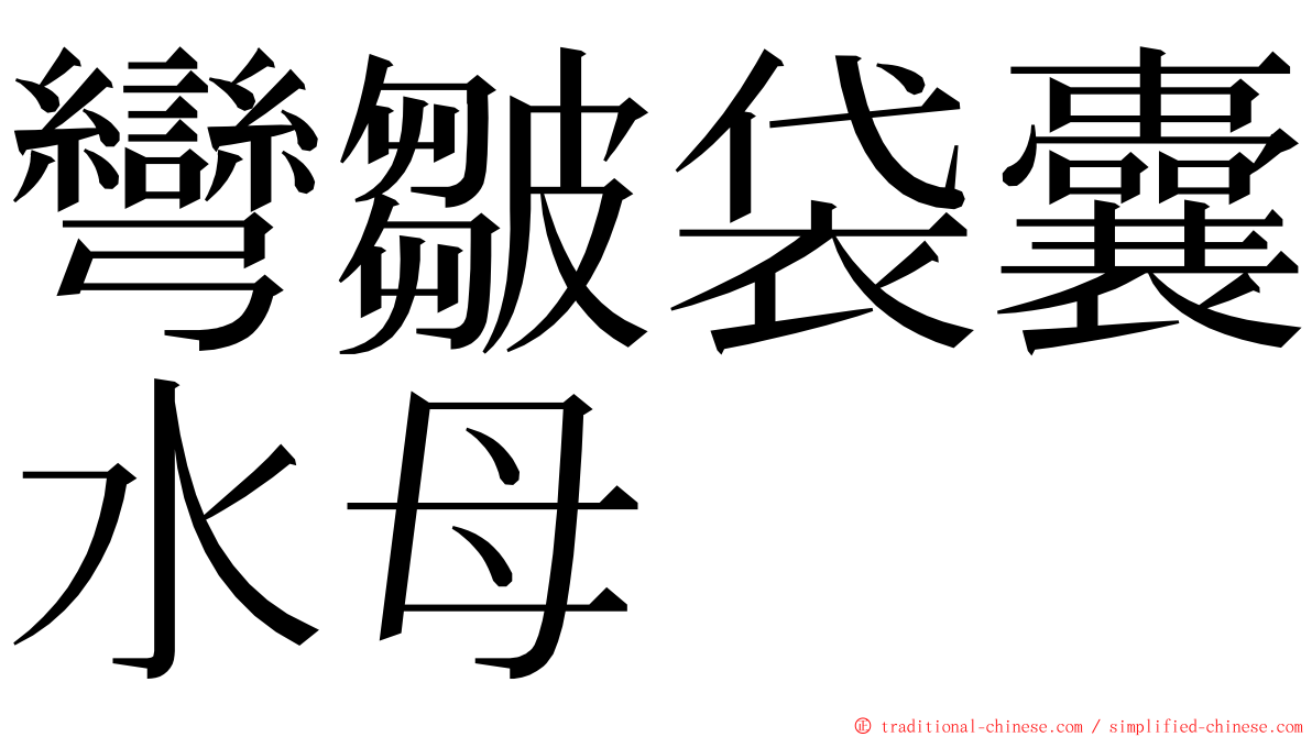 彎皺袋囊水母 ming font