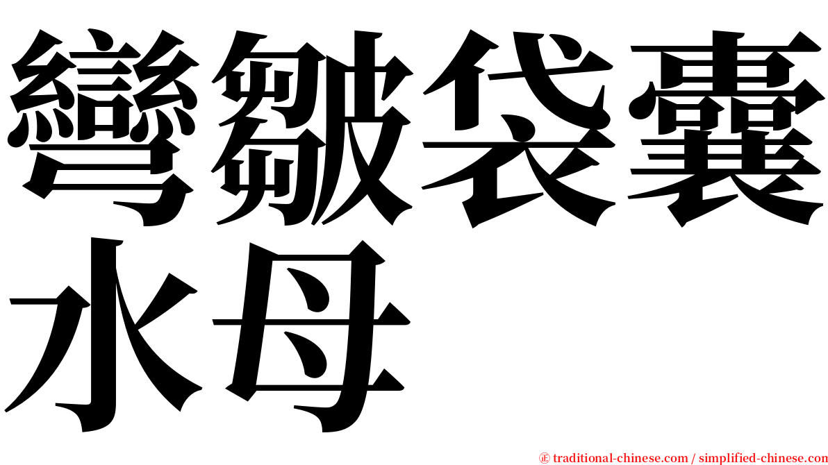 彎皺袋囊水母 serif font