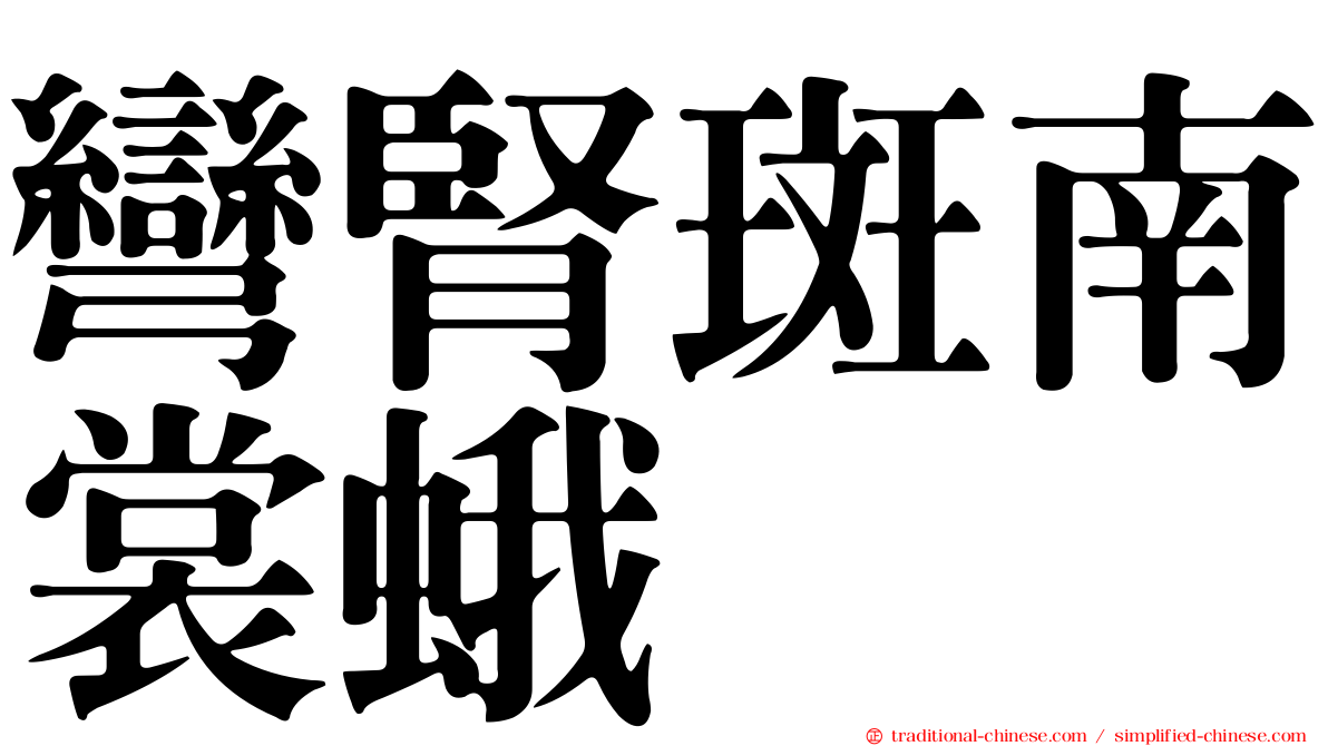 彎腎斑南裳蛾