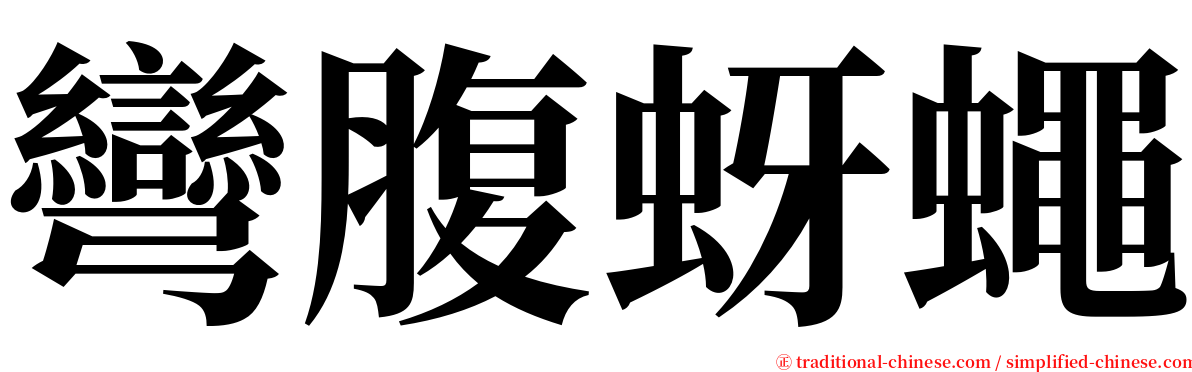 彎腹蚜蠅 serif font