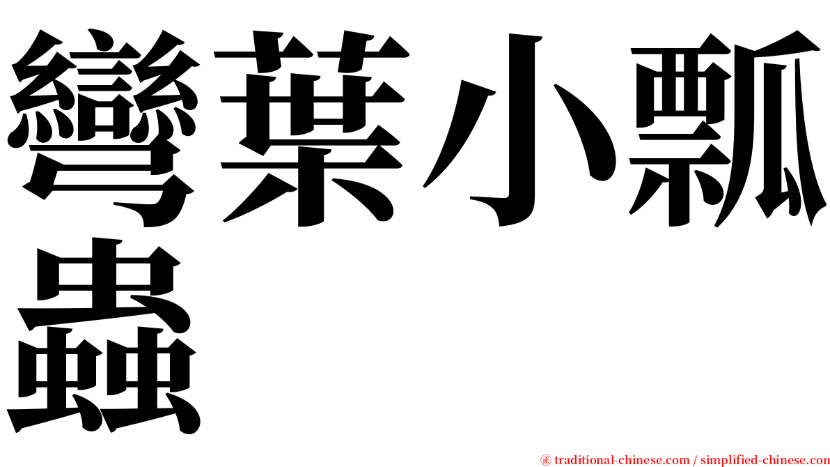 彎葉小瓢蟲 serif font