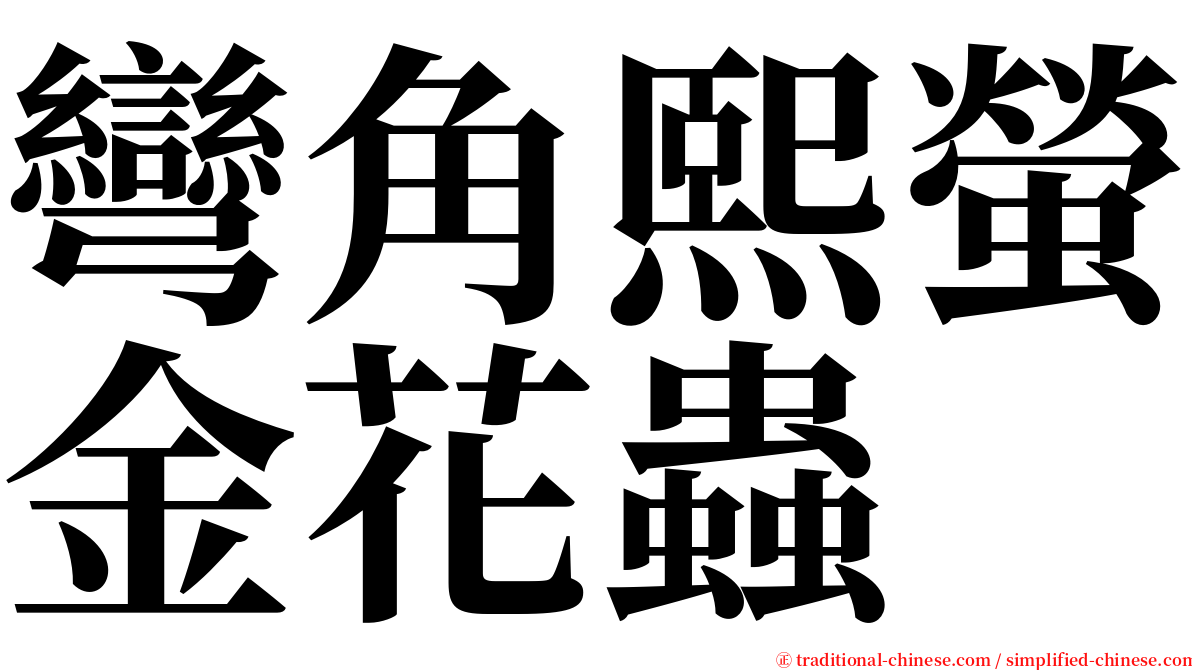 彎角熙螢金花蟲 serif font