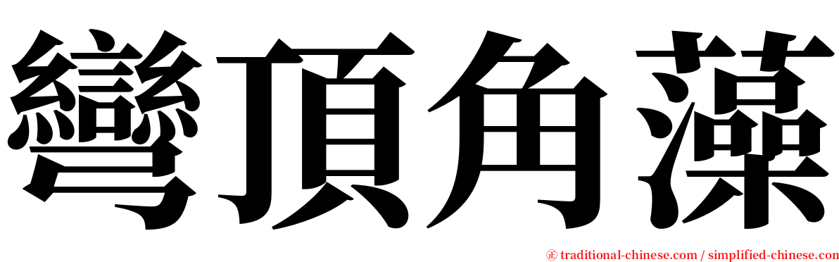 彎頂角藻 serif font