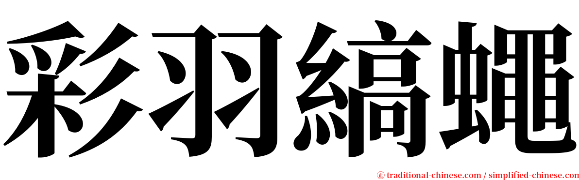 彩羽縞蠅 serif font