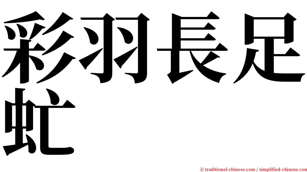 彩羽長足虻 serif font