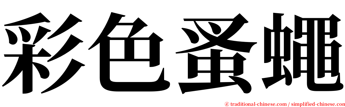 彩色蚤蠅 serif font